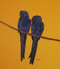blue_parrots